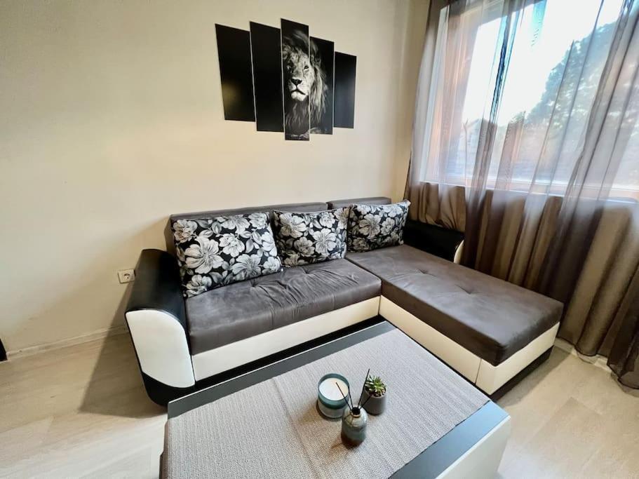 סופיה Sof Apartment'S מראה חיצוני תמונה