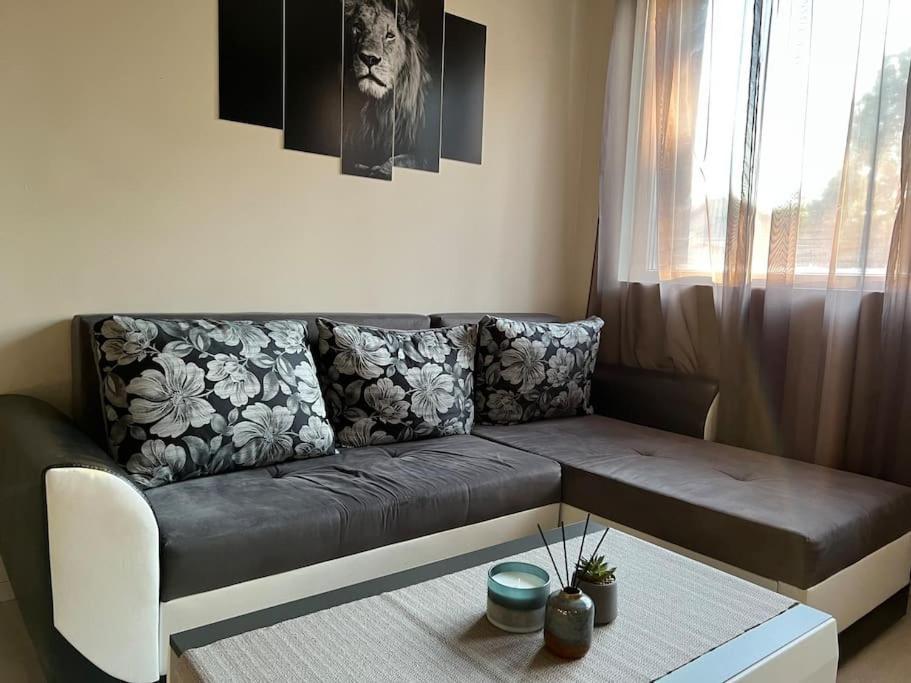 סופיה Sof Apartment'S מראה חיצוני תמונה
