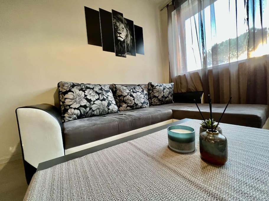 סופיה Sof Apartment'S מראה חיצוני תמונה